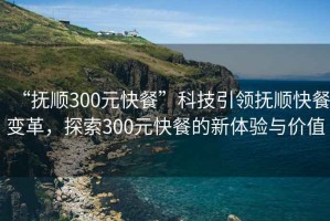 “抚顺300元快餐”科技引领抚顺快餐变革，探索300元快餐的新体验与价值