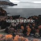 V88AV吊钟奶熟女: