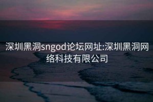 深圳黑洞sngod论坛网址:深圳黑洞网络科技有限公司