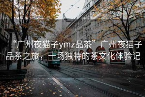 “广州夜猫子ymz品茶”广州夜猫子品茶之旅，一场独特的茶文化体验记