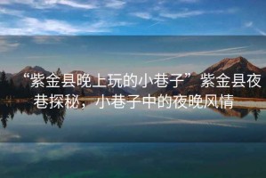 “紫金县晚上玩的小巷子”紫金县夜巷探秘，小巷子中的夜晚风情