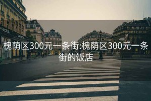 槐荫区300元一条街:槐荫区300元一条街的饭店