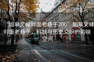 “如皋文峰对面老巷子200”如皋文峰对面老巷子，科技与历史交织的韵味空间