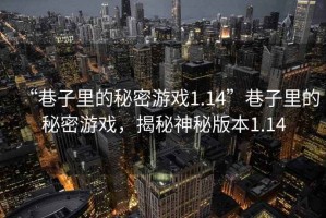 “巷子里的秘密游戏1.14”巷子里的秘密游戏，揭秘神秘版本1.14