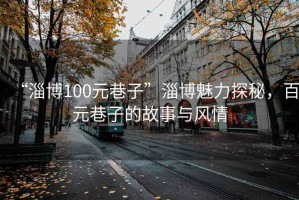 “淄博100元巷子”淄博魅力探秘，百元巷子的故事与风情