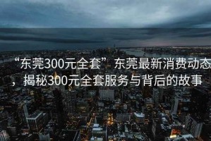 “东莞300元全套”东莞最新消费动态，揭秘300元全套服务与背后的故事