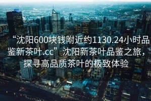 “沈阳600块钱附近约1130.24小时品鉴新茶叶.cc”沈阳新茶叶品鉴之旅，探寻高品质茶叶的极致体验