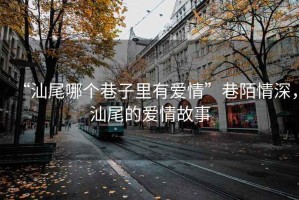 “汕尾哪个巷子里有爱情”巷陌情深，汕尾的爱情故事