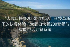 “大武口快餐200带吹电话”科技革新下的快餐体验，大武口快餐200套餐与智能电话订餐系统