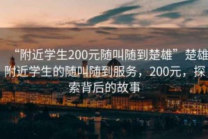 “附近学生200元随叫随到楚雄”楚雄附近学生的随叫随到服务，200元，探索背后的故事