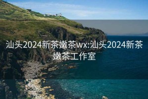 汕头2024新茶嫩茶wx:汕头2024新茶嫩茶工作室