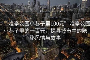 “唯亭公园小巷子里100元”唯亭公园小巷子里的一百元，探寻城市中的隐秘风情与故事