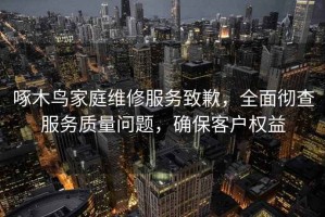 啄木鸟家庭维修服务致歉，全面彻查服务质量问题，确保客户权益