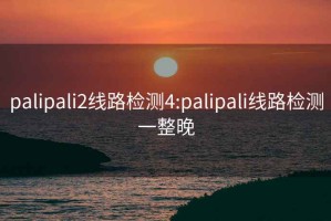 palipali2线路检测4:palipali线路检测一整晚