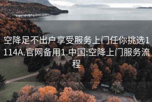 空降足不出户享受服务上门任你挑选1114A.官网备用1.中国:空降上门服务流程