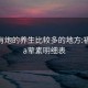 福州有炮的养生比较多的地方:福州spa荤素明细表