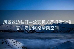 风景这边独好—公安机关严打涉企谣言，守护网络清朗空间