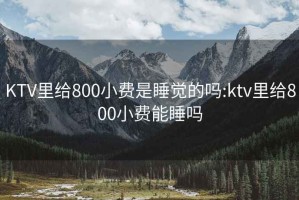 KTV里给800小费是睡觉的吗:ktv里给800小费能睡吗