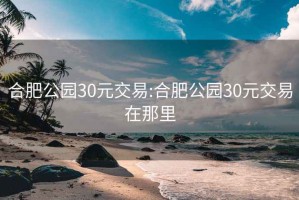 合肥公园30元交易:合肥公园30元交易在那里