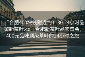 “合肥400块钱附近约1130.24小时品鉴新茶叶.cc”合肥新茶叶品鉴盛会，400元品味顶级茶叶的24小时之旅