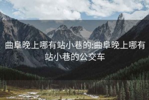 曲阜晚上哪有站小巷的:曲阜晚上哪有站小巷的公交车