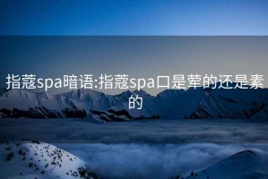 指蔻spa暗语:指蔻spa口是荤的还是素的