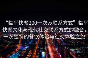 “临平快餐200一次vx联系方式”临平快餐文化与现代社交联系方式的融合，一次独特的餐饮体验与社交体验之旅