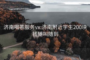 济南喝茶服务vx:济南附近学生200块钱随叫随到