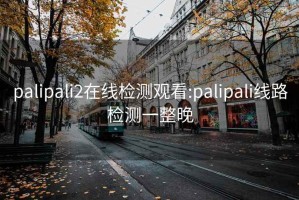 palipali2在线检测观看:palipali线路检测一整晚