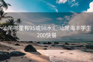 汕尾哪里有95或98水汇:汕尾海丰学生200快餐