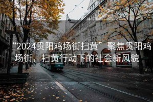 “2024贵阳鸡场街扫黄”聚焦贵阳鸡场街，扫黄行动下的社会新风貌