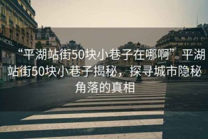 “平湖站街50块小巷子在哪啊”平湖站街50块小巷子揭秘，探寻城市隐秘角落的真相