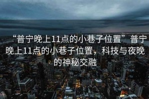 “普宁晚上11点的小巷子位置”普宁晚上11点的小巷子位置，科技与夜晚的神秘交融