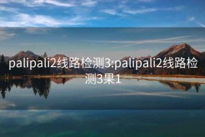 palipali2线路检测3:palipali2线路检测3果1