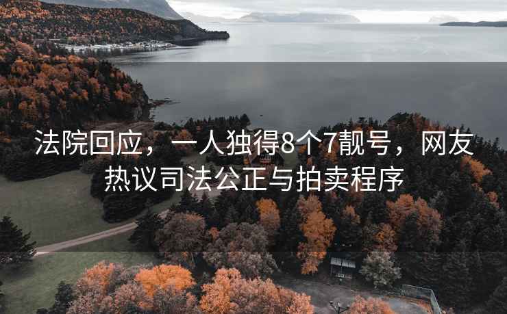 法院回应，一人独得8个7靓号，网友热议司法公正与拍卖程序