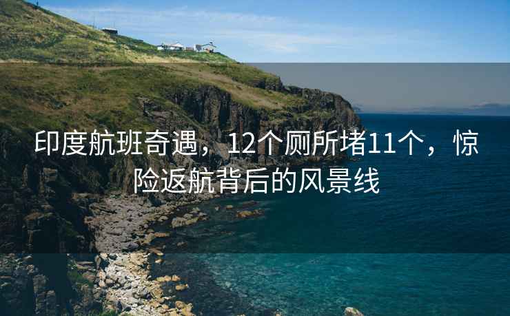 印度航班奇遇，12个厕所堵11个，惊险返航背后的风景线