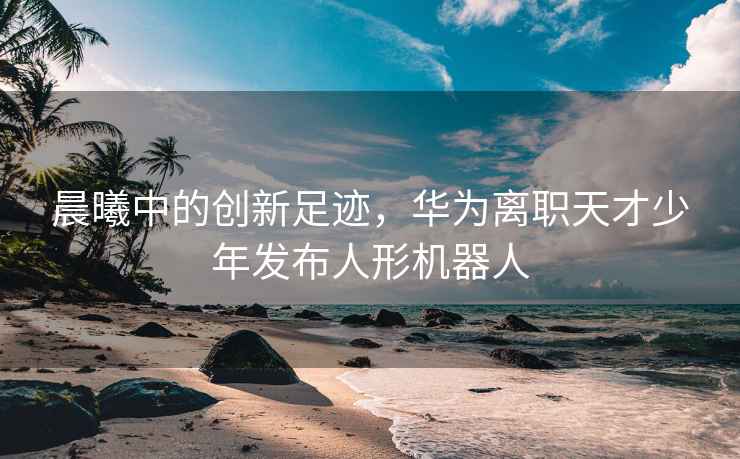 晨曦中的创新足迹，华为离职天才少年发布人形机器人