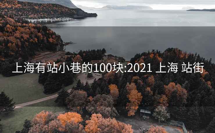 上海有站小巷的100块:2021 上海 站街