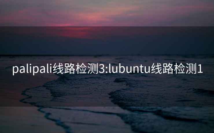 palipali线路检测3:lubuntu线路检测1