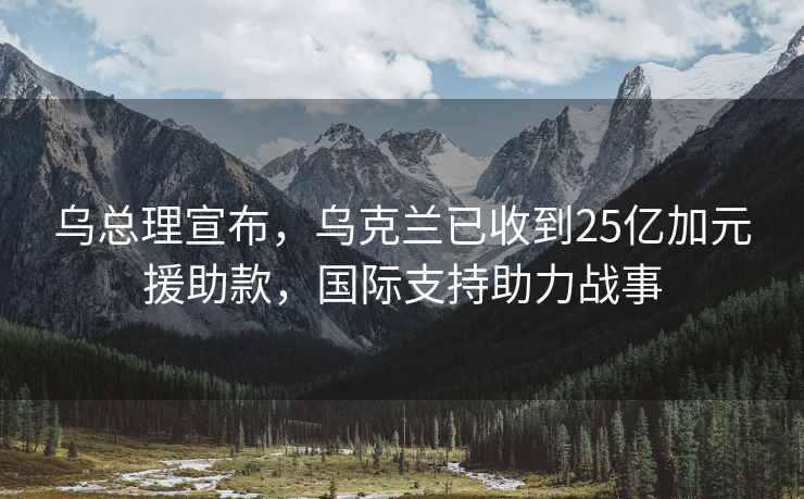 乌总理宣布，乌克兰已收到25亿加元援助款，国际支持助力战事