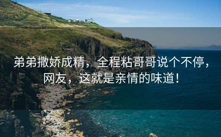 弟弟撒娇成精，全程粘哥哥说个不停，网友，这就是亲情的味道！