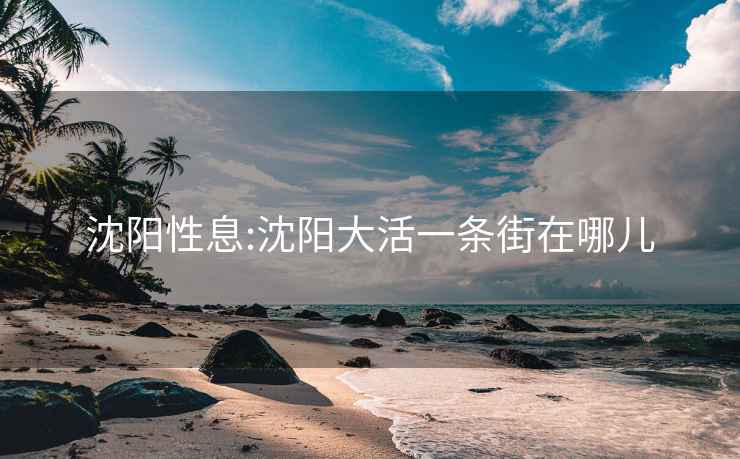 沈阳性息:沈阳大活一条街在哪儿