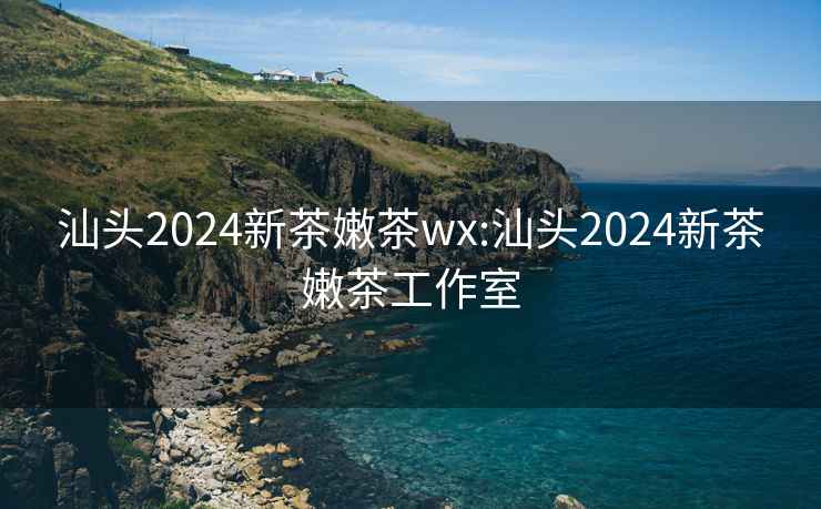 汕头2024新茶嫩茶wx:汕头2024新茶嫩茶工作室