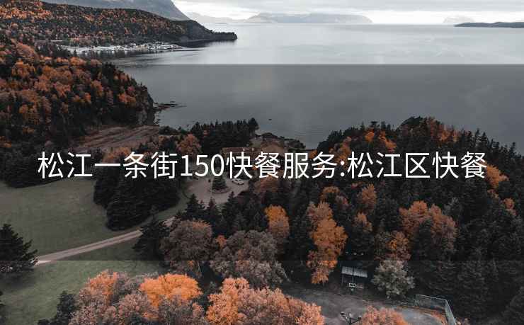 松江一条街150快餐服务:松江区快餐