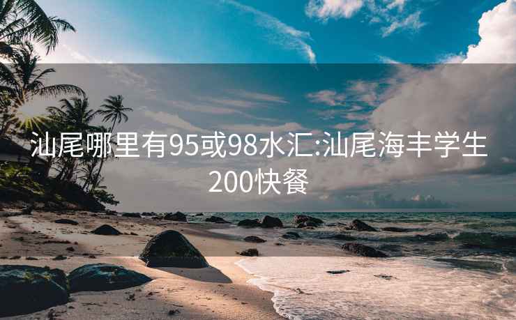 汕尾哪里有95或98水汇:汕尾海丰学生200快餐