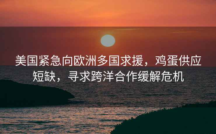 美国紧急向欧洲多国求援，鸡蛋供应短缺，寻求跨洋合作缓解危机