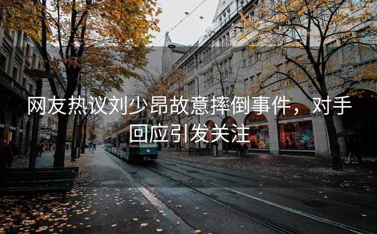 网友热议刘少昂故意摔倒事件，对手回应引发关注