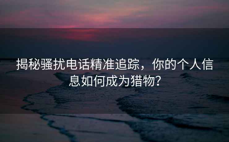 揭秘骚扰电话精准追踪，你的个人信息如何成为猎物？