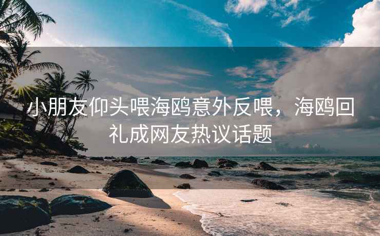 小朋友仰头喂海鸥意外反喂，海鸥回礼成网友热议话题