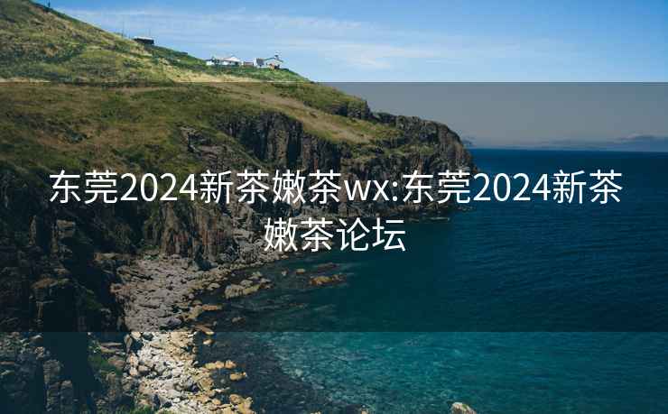 东莞2024新茶嫩茶wx:东莞2024新茶嫩茶论坛